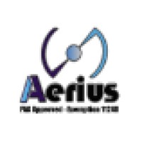 Aerius Flight Llc