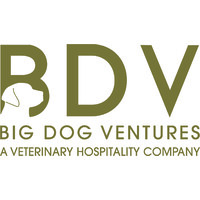 Big Dog Ventures