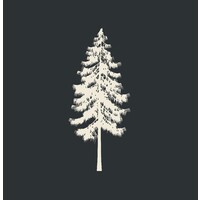 Lone Leaf Apparel