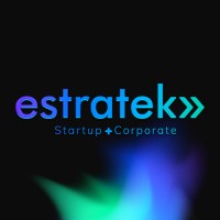 Estratek Ventures logo - Similar company to Frontier Deepwater