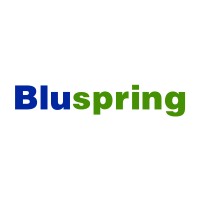 Bluspring Enterprises Limited logo - Similar company to Hofincons Infotech & Industrial Services - A Division Of Quess Corp Limited
