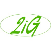 2iG Capital logo - Similar company to Pidiscat