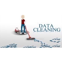 Data Cleaning Services logo - Similar company to Ufirstdev Technologies
