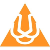 Liger Consultancy