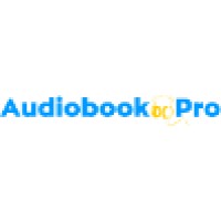 Story Sonic logo - Similar company to Habesha Selfmade (Hsm) Studios