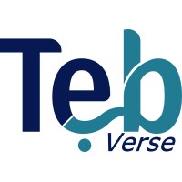 TEBVERSE logo - Similar company to Inter-Soft