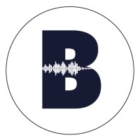 BeatCar logo - Similar company to Cyber Level Ins