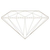 Vientiane Diamond Cutting Limited logo - Similar company to Techtok Academy