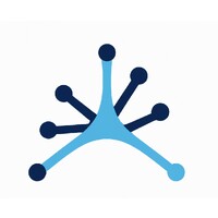 Netigence logo - Similar company to Conure Technology Services, Llc