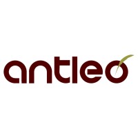 Antleo Writing and Editing Services logo - Similar company to Skryptus Writing & Editing