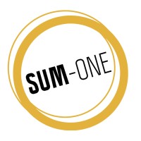 SUM-one logo - Similar company to Tetal Consulting