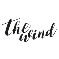 Thewind Coaching Company logo - Similar company to Visualway Design Oy