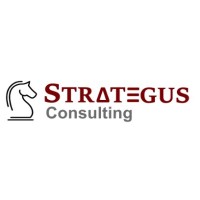 Strategus Consulting Limited logo - Similar company to Wells Carpentry Ltd