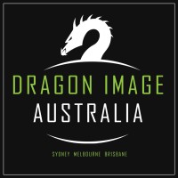 Dragon Image logo - Similar company to Avw Group