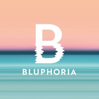 BLUPHORIA logo - Similar company to Nigefa Computersysteme Gmbh