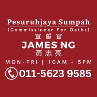 James Ng Pesuruhjaya Sumpah 宣誓官 logo - Similar company to Mysverse