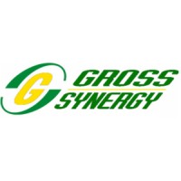 Gross Synergy Sdn Bhd logo - Similar company to Gc Tech It Solution