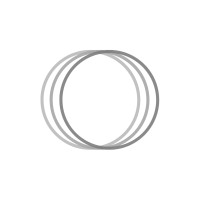 Anthracite Solutions logo - Similar company to Axoko Studios Gmbh