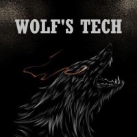 Wolfs Technologies. logo - Similar company to Graphics Experts Ltd
