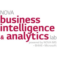 NOVA BI & Analytics Lab logo - Similar company to Nova Innovation&Analytics Lab