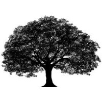 Demand Strategy Partners