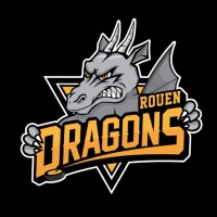 ROUEN HOCKEY ELITE 76 logo - Similar company to Devolis