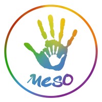Studievereniging Meso logo - Similar company to Ingenium Cabo Bianci