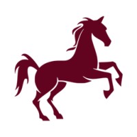 Webo Development logo - Similar company to Hermann Assistance & Services Fzco