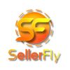 Sellerfly Business Solutions logo - Similar company to 9Rasa