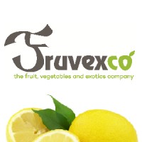 Fruvexco B.V. logo - Similar company to Fruvaygo