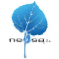 Nepsa llc logo - Similar company to Herramientas Holman