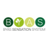 Wellstar - BYAS Beauty System logo - Similar company to Digitool.Dev