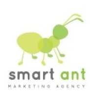 smart ant logo - Similar company to Datasense