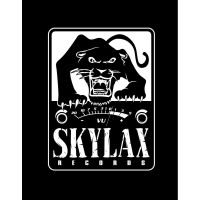 SKYLAX RECORDS logo - Similar company to Galerie Nathan Chiche