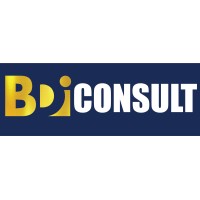 BDI Consult logo - Similar company to Dodo Technologies