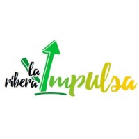 La Ribera Impulsa logo - Similar company to Mancomunitat De La Ribera Alta