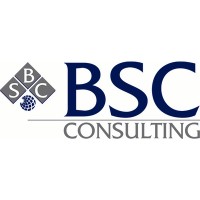 BSC CONSULTING logo - Similar company to Tech-United Llp
