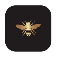 APÌER logo - Similar company to Animate-Co