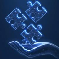 Pivotal Finance Solutions logo - Similar company to Agilifly Digital Transformations