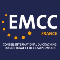 EMCC FRANCE logo - Similar company to Playitagain
