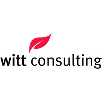 witt consulting logo - Similar company to Business Continuity Specialists Group Llc