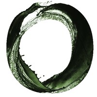 Roots logo - Similar company to Aezm