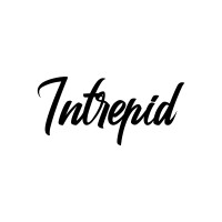 Intrepid Media logo - Similar company to Intrepid Media