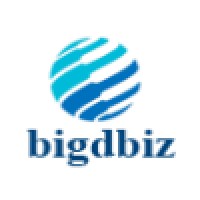Bigdbiz Solutions Pvt Ltd logo - Similar company to Techleaf Systems