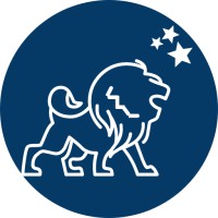 LionFour Agencia Diseño Web y Marketing Digital logo - Similar company to Totalcode