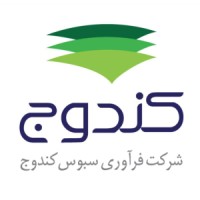 Faravari Sabous Kandouj Co. logo - Similar company to Damilka