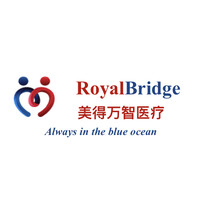 Royal Bridge Holdings logo - Similar company to Bereisheet Tech