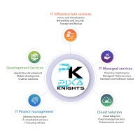 PIXAKNIGHTS PTE. LTD. logo - Similar company to Tecso Solutions