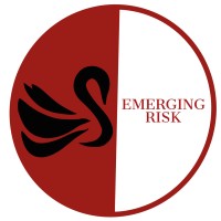 Emerging Risk LLC logo - Similar company to Centre For Emerging Risk Studies
