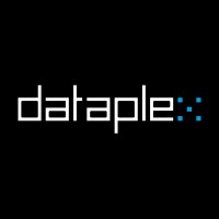 Dataplex logo - Similar company to Dataplex Sa